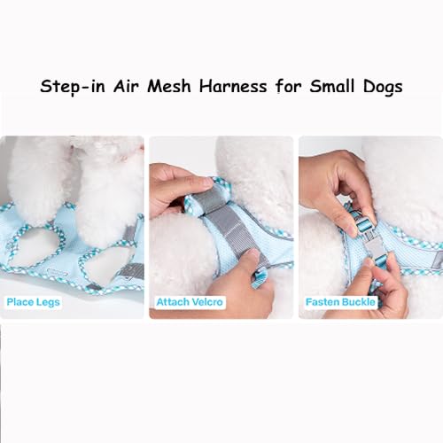 Petank Step in Dog Harness No Pull and Leash for Small Medium Dogs Cats. - color: Light Blue, size: XXXS
