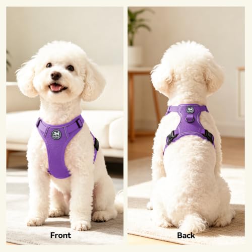 PoyPet Mesh Dog Harness, Reflective Breathable Puppy Vest for Small Dogs - color: Purple, size: XS
