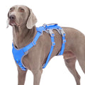 Huntboo Escape Proof Dog Harness,No Pull Reflective Harness with Lift Handle,Adjustable Pet Vest with Front and Back Leash Clips for Small Medium Large Dogs Walking Hiking Training (Sea Blue,XL) - color: Sea Blue, size: X-Large(Pack of 1)