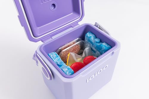 Igloo Maxcold Ice Block, 2 Pieces - color: 2PK Large