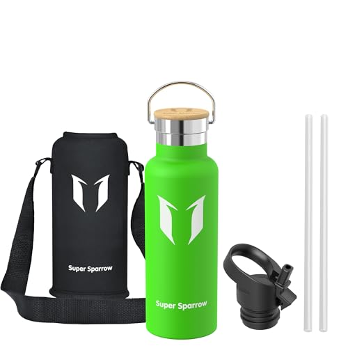 Sparrow Metal Water Bottle with Straw - Insulated Water Bottles Kids 500ml - color: Apple Green, size: 16.9 Ounces