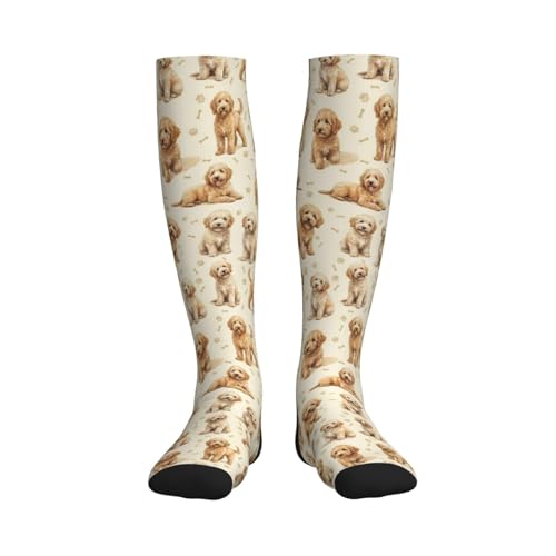Cute Dog Compression Socks Women Men, Dog Lover Gift - color: Goldendoodle