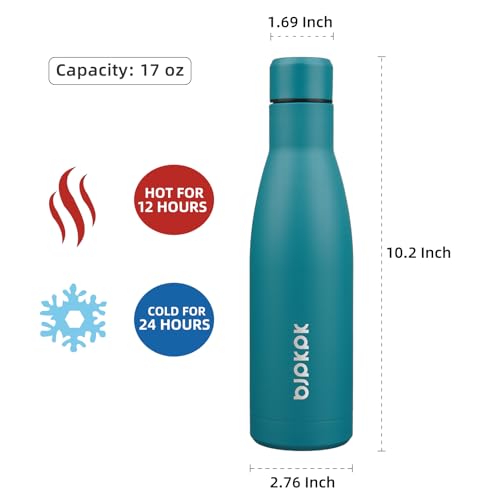 BJPKPK 17oz Skinny Insulated Water Bottle, Stainless Steel Flask - color: Lake Blue, size: 17 Ounces