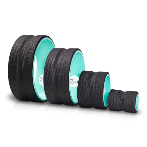 Chirp Wheel+ Foam Roller 4-Pack, Back & Neck Pain Relief, Mint - size: 4-Pack Mint
