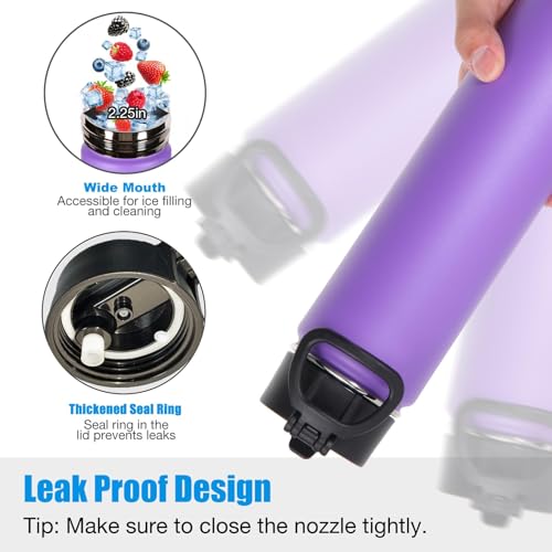 Volhoply 24oz Insulated Water Bottle with Straw Lid, Purple, 1-Pack - color: Purple