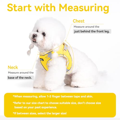 Petank Step in Dog Harness No Pull and Leash for Small Medium Dogs Cats. - color: Yellow, size: XXXS