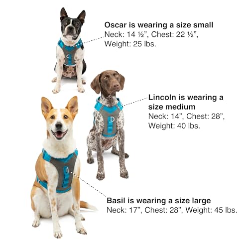 Kurgo Journey Air Dog Harness, Blue, Small - color: Blue, size: Small