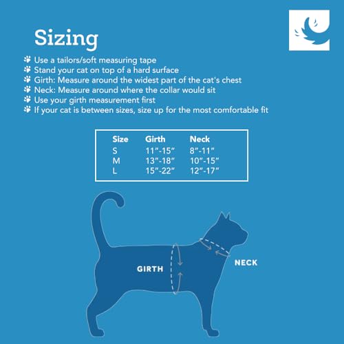 RC Pets Adventure Kitty Cat Harness | Adjustable Airmesh Vest with D-Ring and 6ft Leash for Walking and Travel | Lil Heart, Medium - color: Lil Heart, size: Medium