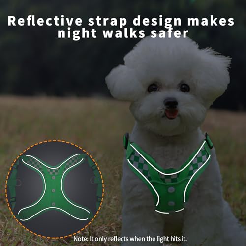 Dog Harness with Leash Set, No Pull Adjustable Step in Pet Vest - color: Green (denim), size: XS