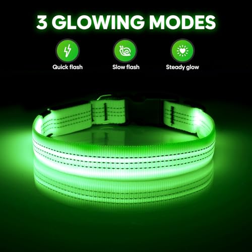 Illumifun Light Up Dog Collar - USB Rechargeable LED Dog Collar, Adjustable Lighted Pet Safety Collar for Night Walking (GreenⅢ, Small) - color: GreenⅢ, size: Small