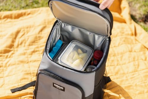 Igloo Maxcold Ice Block, 2 Pieces - color: 2PK Large