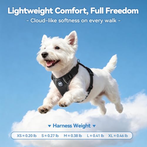 PoyPet Mesh Dog Harness, Reflective Breathable Puppy Vest for Small Dogs - color: Black, size: XS