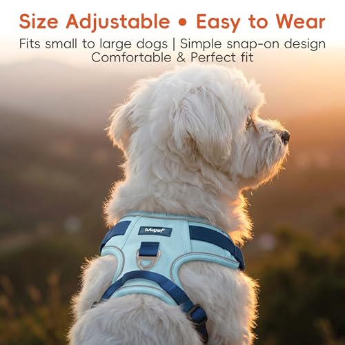 Dog Harness and Leash Set with Collar, No Pull Reflective Pet Vest Harness with Control Handle for Medium Large Dogs Walking and Training - color: Blue, size: M(Neck:18.1-28.3",Chest:21.3-28.3")