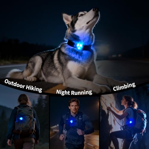 LaRoo LED Dog Collar Light - Waterproof Clip-On 3 Modes, High Visibility for Night Walking/Camping, Pet Safety Light for Small/Medium/Large Dogs (Blue) - color: Blue-A
