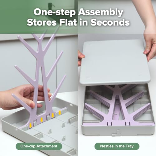 haakaa Baby Bottle Drying Rack with Tray, Space-Saving Bottle Drying Tree - color: Lavender, size: Large