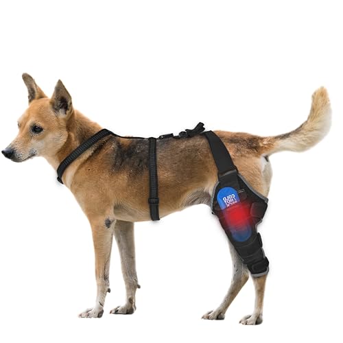 Dog Knee Brace for Back Leg - Adjustable Breathable Canine Leg Wrap with Hot & Cold Gel Packs - Supports Large & Medium Dogs with Arthritis, Hip Dysplasia, ACL Injuries, Left Hind Leg (M)