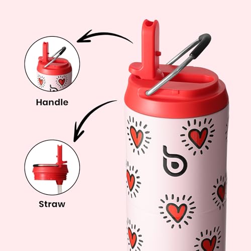 BOTTLE BOTTLE Insulated Water Bottle 24oz with Straw Lid and Handle Sports - color: Heart Beats