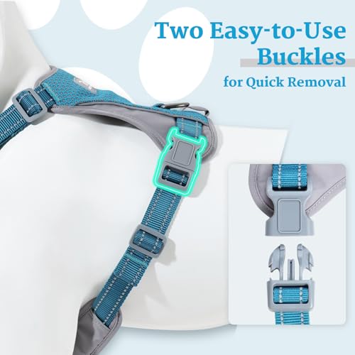 Huntboo No-Pull Dog Harness, Fully Reflective Vest with 2 Leash Clips, No-Choke, Adjustable, Breathable & Durable for Small, Medium & Large Dogs Walking, Training, Running (Teal Blue, L)