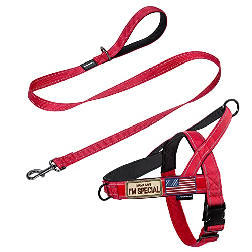 Annchwool No Pull Dog Harness with Padded Handle+5 Ft Leash(Red-Set,S) - color: Red Set, size: S
