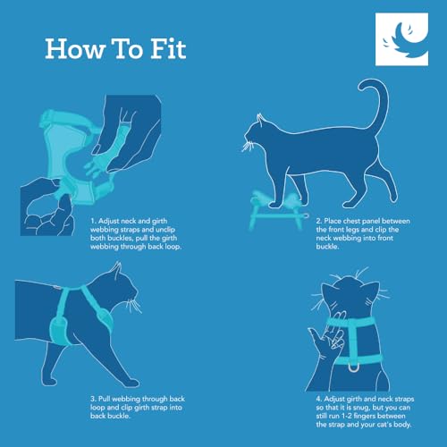RC Pets Adventure Kitty Cat Harness | Adjustable Airmesh Vest with D-Ring and 6ft Leash for Walking and Travel | Lil Heart, Medium - color: Lil Heart, size: Medium