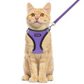 Rttochfy Cat Harness and Leash Set, Escape Proof Kitten Harness, Soft and Breathable Vest with Reflective Strip, Easy to Wear for Cats Walking and Traveling (BK Dark Purple, XXS) - color: BK Dark Purple, size: XXS (Chest:11"-12")