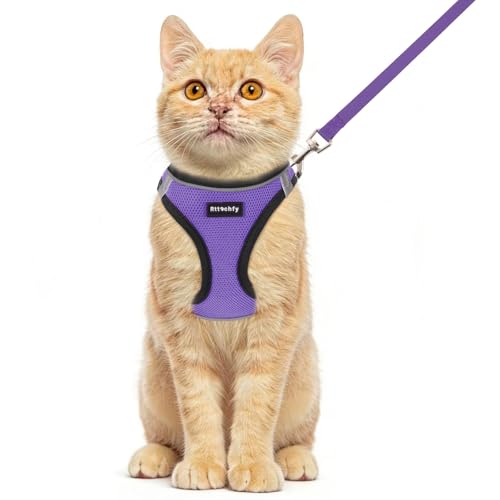 Rttochfy Cat Harness and Leash Set, Escape Proof Kitten Harness, Soft and Breathable Vest with Reflective Strip, Easy to Wear for Cats Walking and Traveling (BK Dark Purple, XXS) - color: BK Dark Purple, size: XXS (Chest:11"-12")