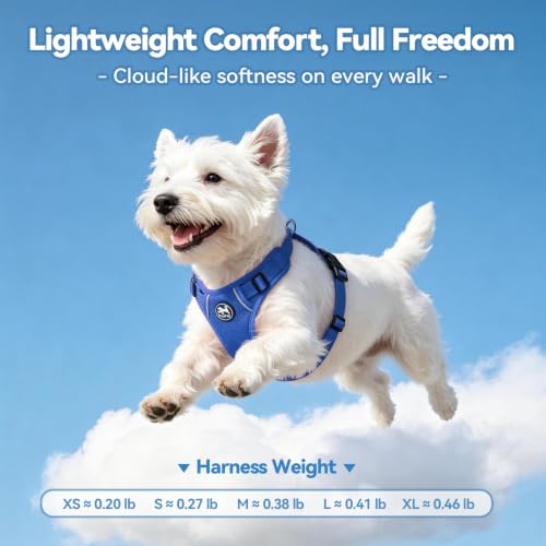 PoyPet Mesh Dog Harness, Reflective Breathable Puppy Vest for Small Dogs - color: Royal Blue, size: XS