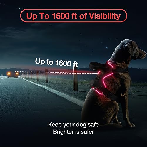 MASBRILL Light Up Dog Harness - No Pull Led Dog Harness Rechargeable Glow Vest for Night Walking Adjustable Sizes - color: Black-Red, size: L