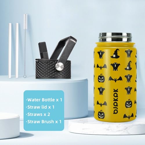 BJPKPK Insulated Water Bottle, 15oz Stainless Steel with Straw Lid - color: Halloween, style: 15oz