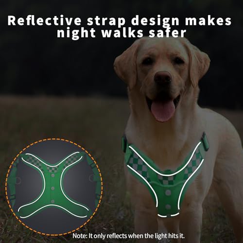 Dog Harness with Leash Set, No Pull Adjustable Step in Pet Vest - color: Green (denim), size: L