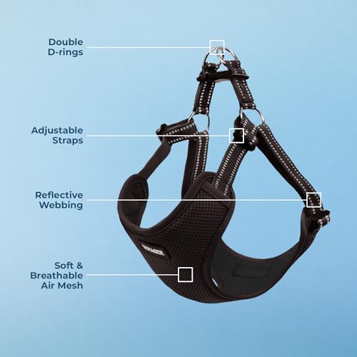 Voyager Step-in Flex Adjustable Dog Harness - Black, Medium - color: Harness (Black), size: M