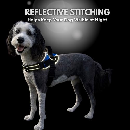 ShawnCo Essential Dog Harness, No-Pull Pet Vest (Oceanic Blue,XS) - color: Oceanic Blue, size: XS