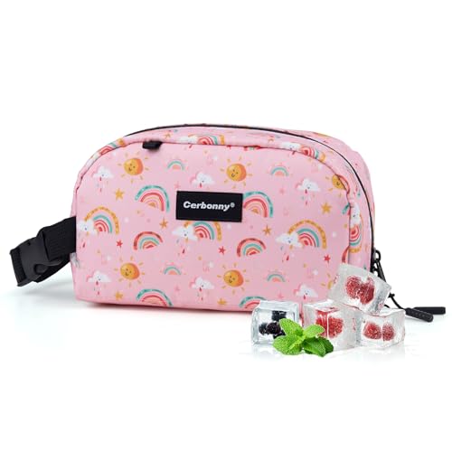 Cerbonny Small Cooler Bag,Freezable Lunch Bag,Built-in ice pack - color: Pink-Rainbow