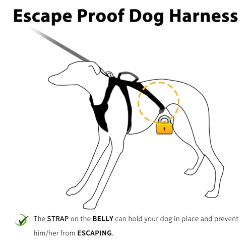 Huntboo Escape Proof Dog Harness, No Pull Reflective Harness with Lift Handle, Adjustable Pet Vest with Front and Back Leash Clips for Small Medium Large Dogs Walking Hiking Training (Black,L) - color: Black, size: Large(Pack of 1)
