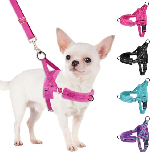 SlowTon No Pull Small Dog Harness and Leash Set with Front Clip - color: Fuchsia, size: XX-Small