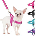 SlowTon No Pull Small Dog Harness and Leash Set with Front Clip - color: Fuchsia, size: Small
