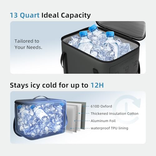 Ice Machine for Knee After Surgery, Cold Therapy Machine w/Programmable