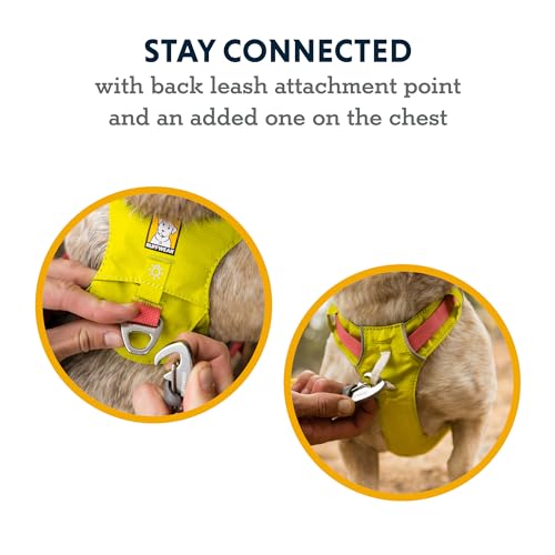 Ruffwear, Hi & Light Dog Chest Harness, Basalt Gray, Small - color: Basalt Gray, size: Small