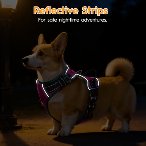 No Pull Dog Harness, No-Choke Soft Padded Reflective Dog Vest Harness with Front Clip & Top Handle, 2 Quick-Release Buckles, Adjustable for Small Medium Large Dogs - color: Pink/Turquoise, size: X-Small