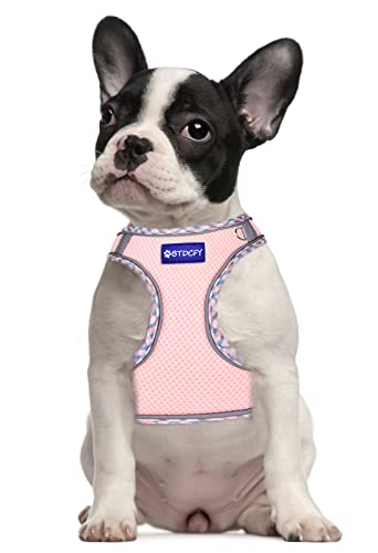 Step in Mesh Dog Harness and Leash Set Breathable Air Mesh Harness - color: Pink, size: L(neck:13.5"-15.5",chest:18"-19.5")
