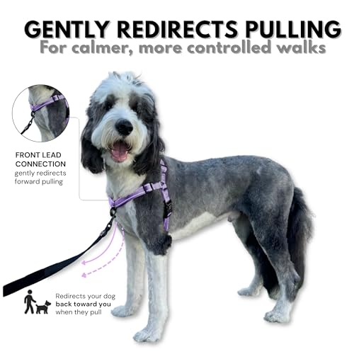 ShawnCo Dream Walk Pro No-Pull Dog Harness (ICY Lilac, Small) - color: Icy Lilac, size: Small