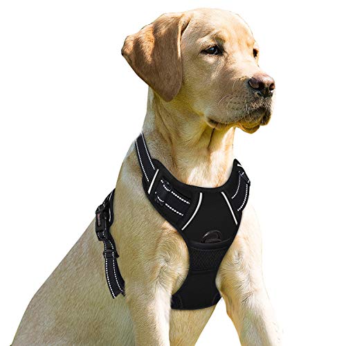 BARKBAY Dog Harness No Pull for Small Sized Dog Front Back Clips,Dog Vest - color: Black, size: Small(Chest:19.5-26")