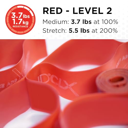 THERABAND CLX Resistance Band with Loops, 5-Foot Band - color: Level 2 / Medium - Red