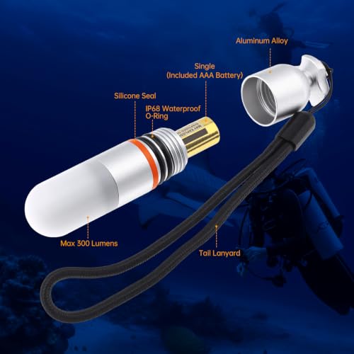 SecurityIng 2 Pcs Scuba Dive Strobe Signal Light, 2 Modes, Bule - color: Blue