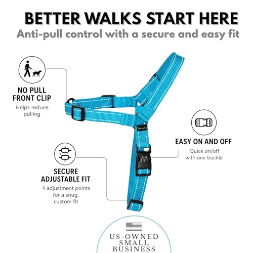 ShawnCo Dream Walk Pro No-Pull Dog Harness (Oceanic Blue, Small) - color: Oceanic Blue, size: Small