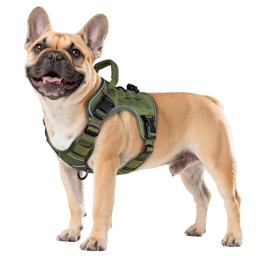 WINGOIN Green Tactical Dog Harness for Small Dogs,No Pull Dog Harness - color: Green, size: Small: 15-30 lbs (Chest:20-26",Neck:15-18")