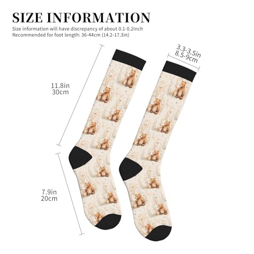 Avocado Compression Socks Women Men Knee High Stock for Running Work Support Nurses Travel - color: Bear