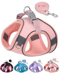 Dog Harness for Small Medium Sized Dog, Step in Puppy Harness and Leash Set Training Walking. (Peach, XS) - color: Peach, size: Extra Small