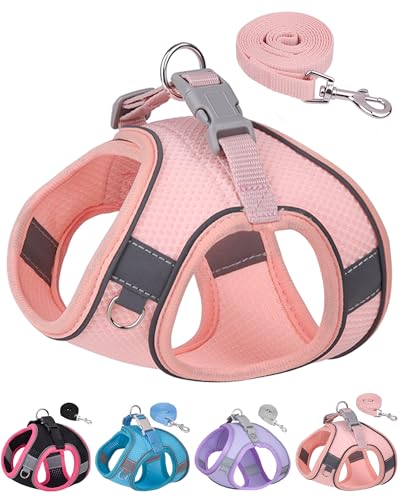Dog Harness for Small Medium Sized Dog, Step in Puppy Harness and Leash Set Training Walking. (Peach, M) - color: Peach, size: Medium