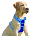 BARKBAY Dog Harness No Pull for Small Sized Dog Front Back Clips,Dog Vest - color: Sapphire Blue & Blue, size: X-Small(Chest:15.5-19.5”)